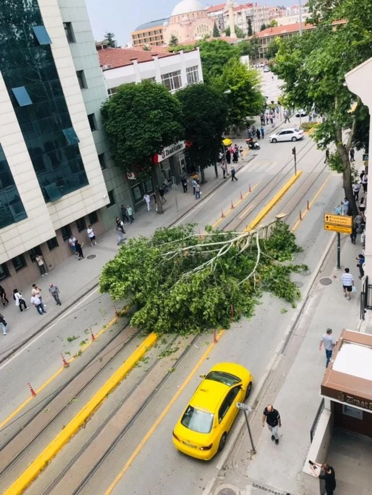 Şiddetli Rüzgar Sonrası Eskişehir'de Tramvay Durağında Ağaç Devrildi